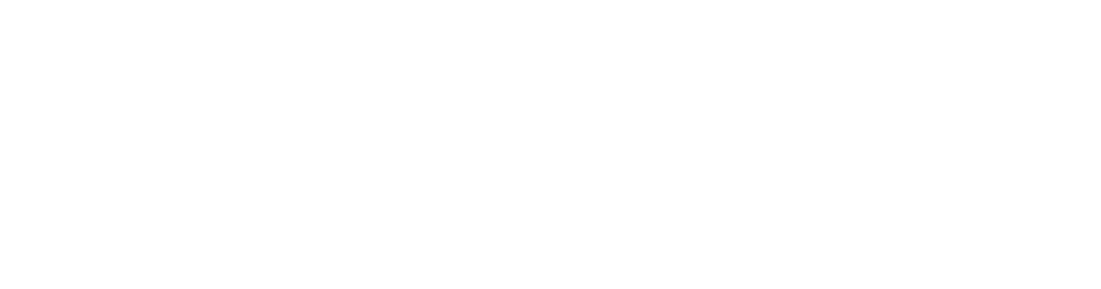 usa-fast-leilao-logo-branca-solida-transparente-4x